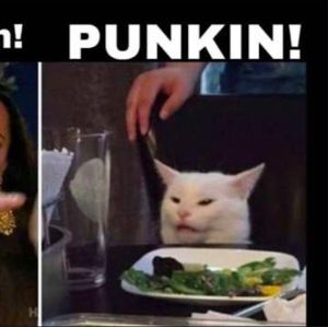 Meet your Posher, Bailey